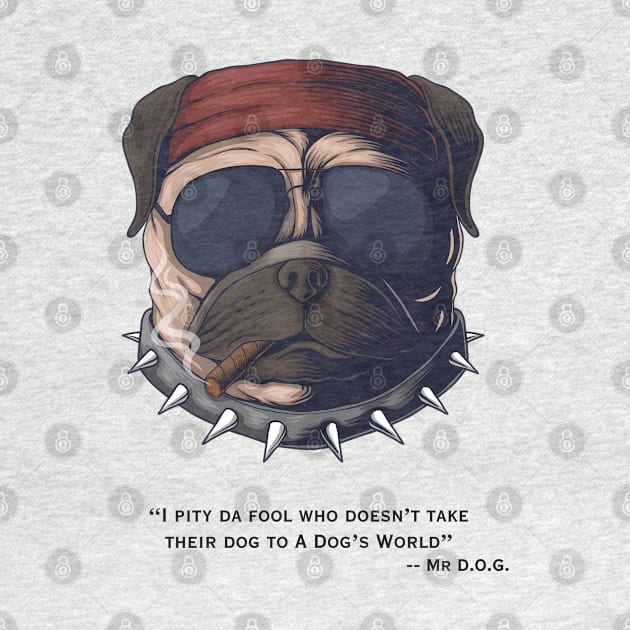 I Pity Da Fool  --Mr. D.O.G. by A Dog's World